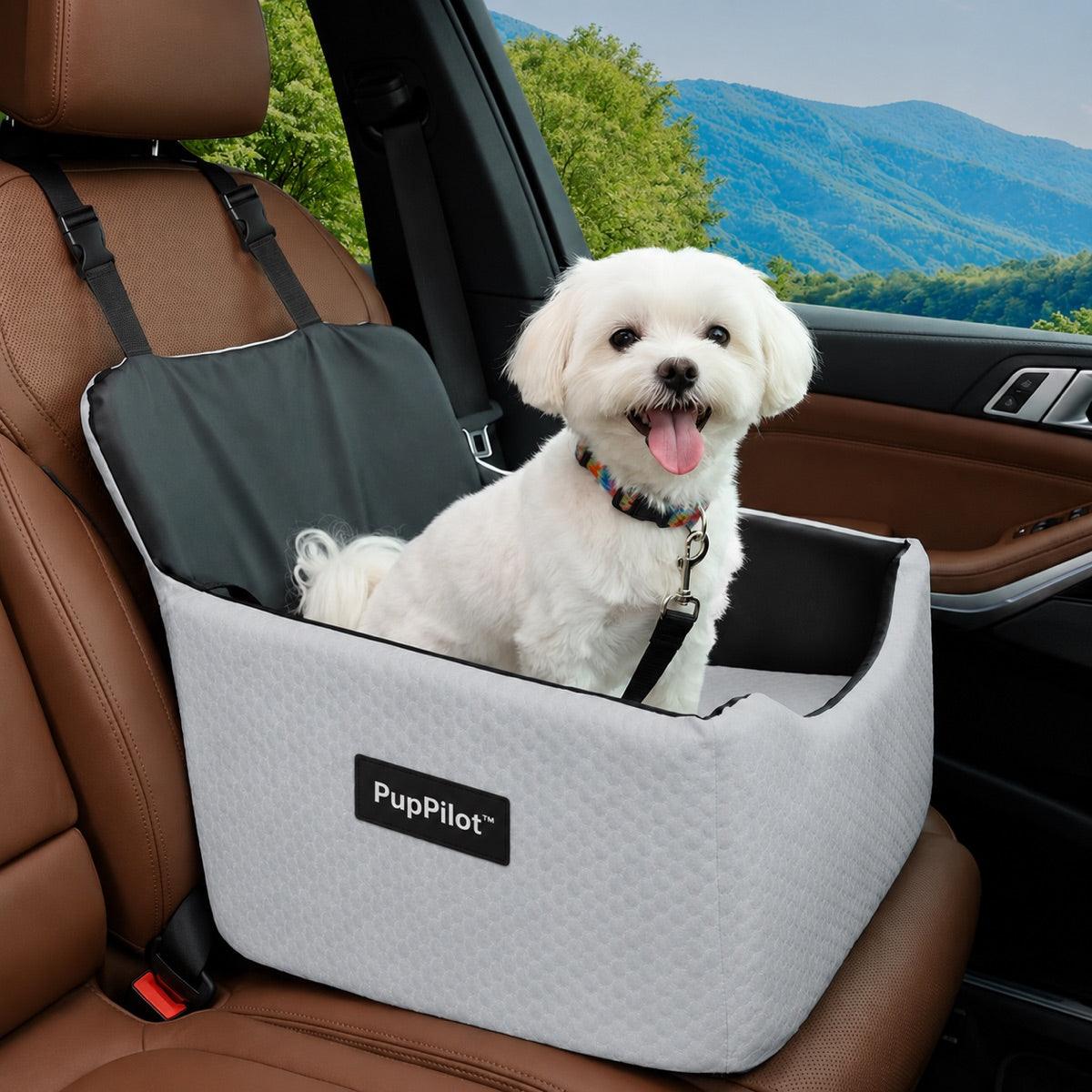 Dog sitting safely in the PupPilot booster seat looking out the car window