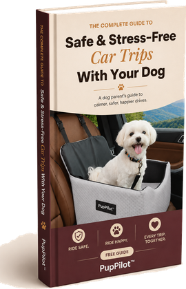 Free car-travel eBook